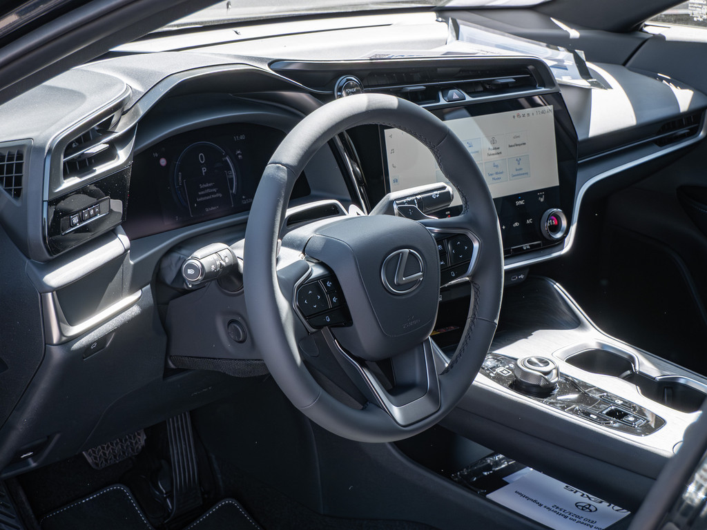 Fahrzeugansicht LEXUS RZ 350e Executive - Bild 33