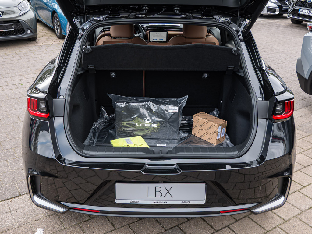 Fahrzeugansicht LEXUS LBX Relax - Bild 10