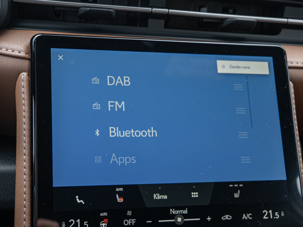 Fahrzeugansicht LEXUS LBX Relax - Bild 13