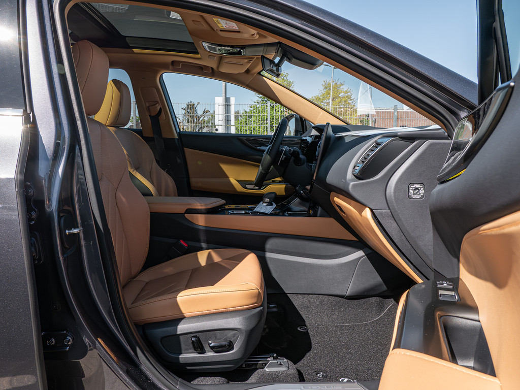 Fahrzeugansicht LEXUS NX 450h + Executive - Bild 3