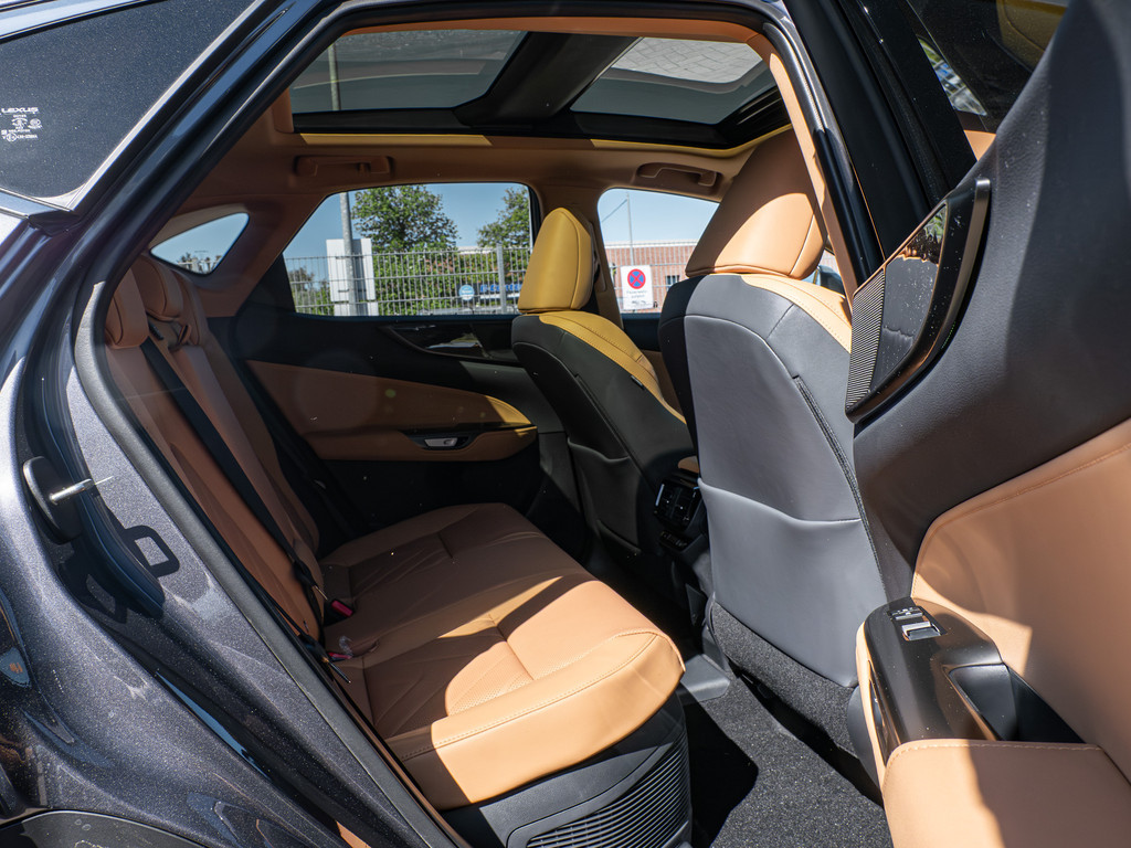 Fahrzeugansicht LEXUS NX 450h + Executive - Bild 4
