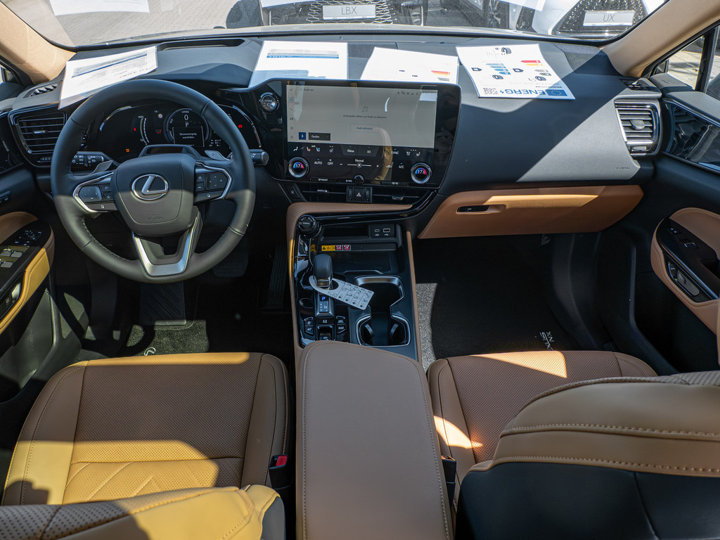 Fahrzeugansicht LEXUS NX 450h + Executive - Bild 5