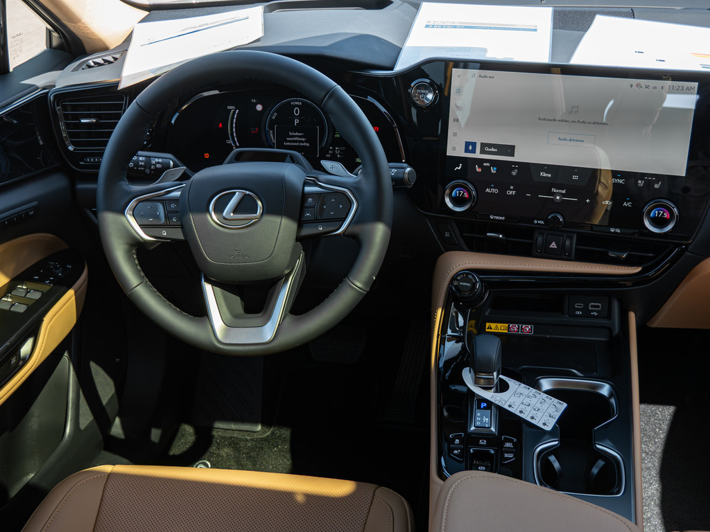 Fahrzeugansicht LEXUS NX 450h + Executive - Bild 6