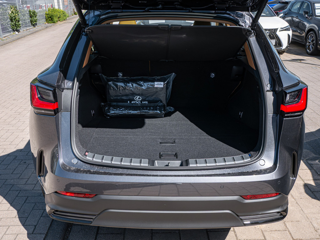 Fahrzeugansicht LEXUS NX 450h + Executive - Bild 10