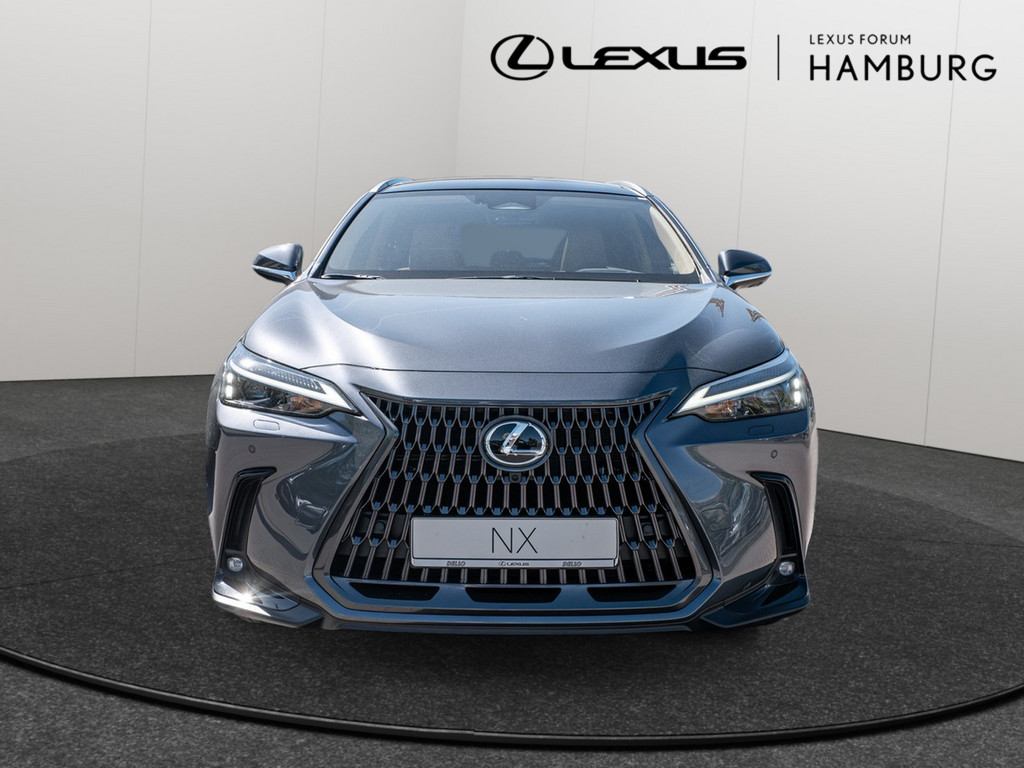 Fahrzeugansicht LEXUS NX 450h + Executive - Bild 12