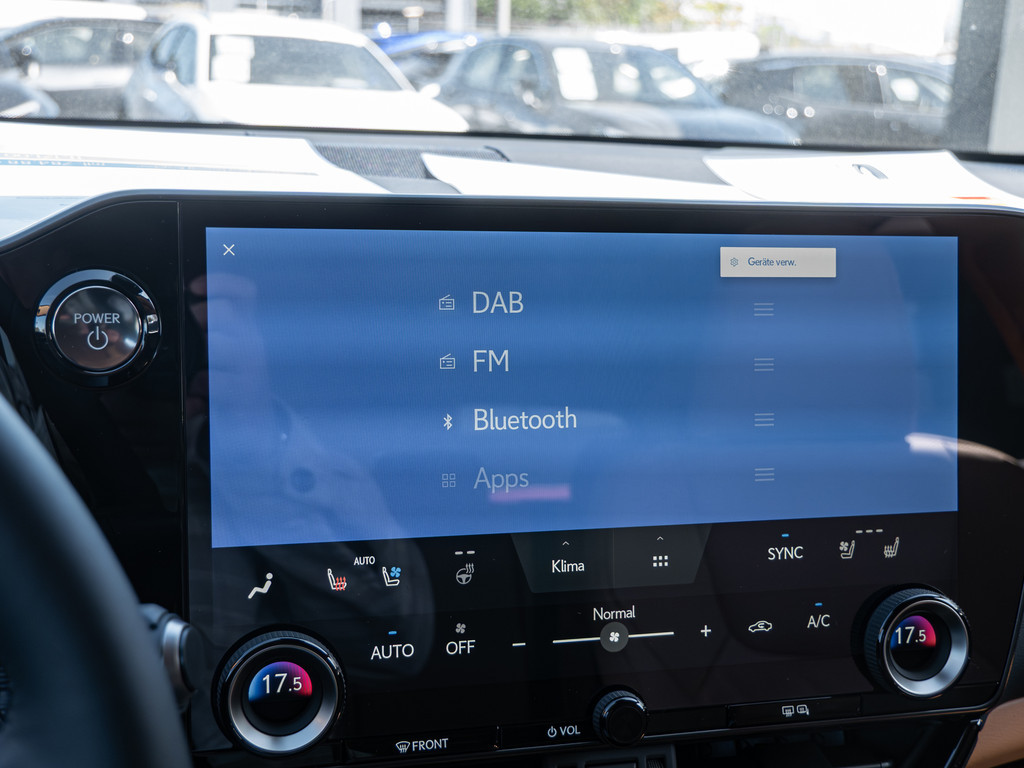 Fahrzeugansicht LEXUS NX 450h + Executive - Bild 14