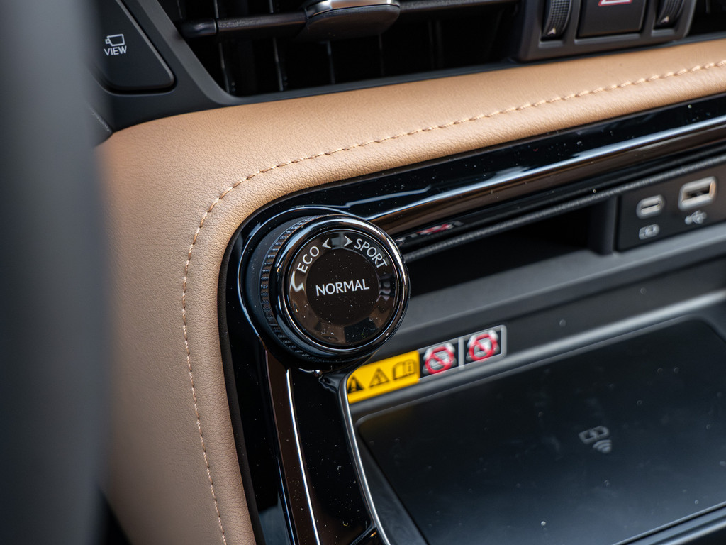 Fahrzeugansicht LEXUS NX 450h + Executive - Bild 22