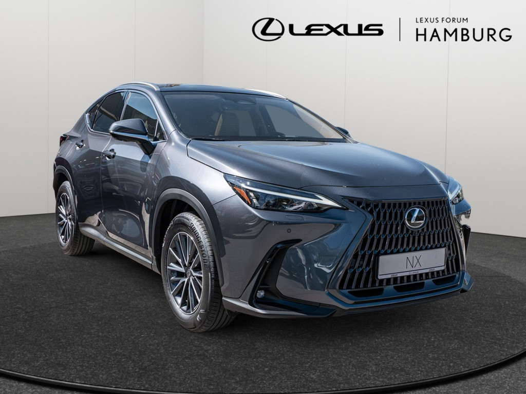 Fahrzeugansicht LEXUS NX 450h + Executive - Bild 23