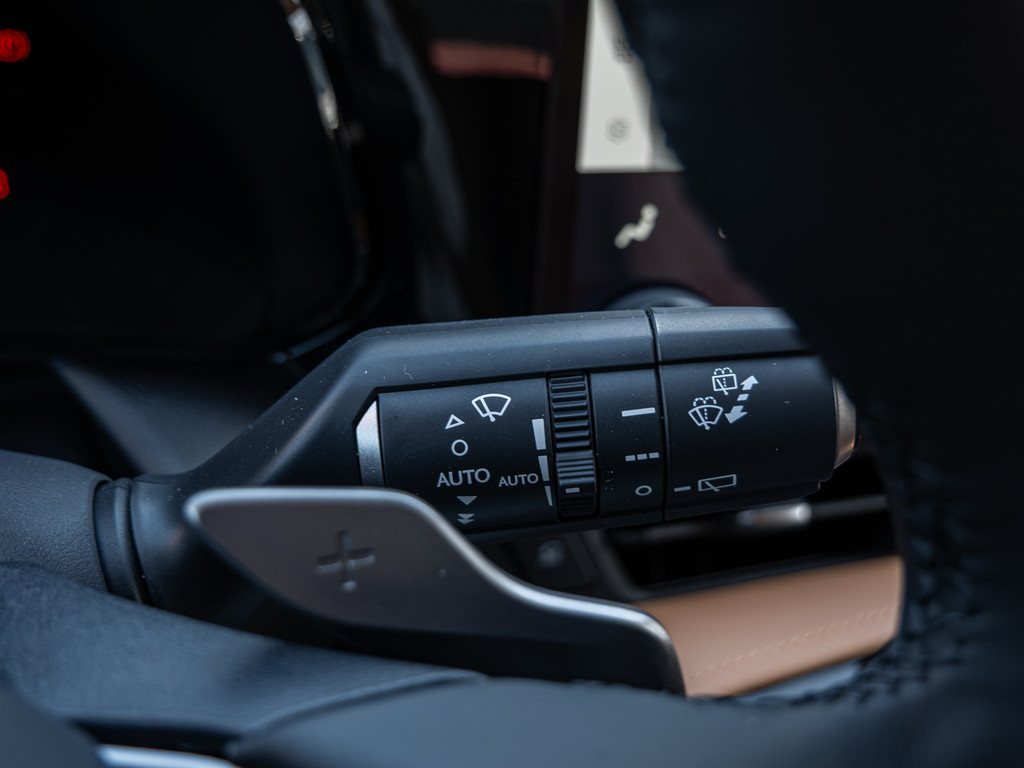 Fahrzeugansicht LEXUS NX 450h + Executive - Bild 29