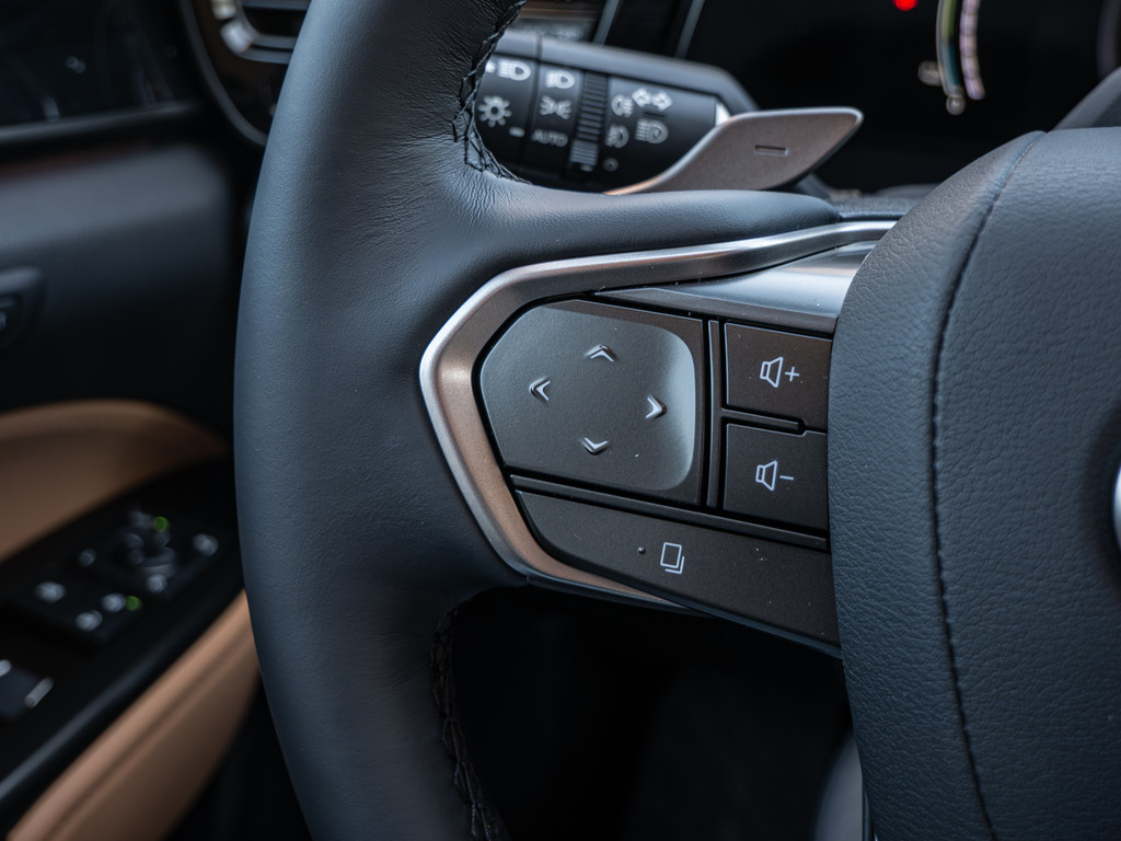 Fahrzeugansicht LEXUS NX 450h + Executive - Bild 32