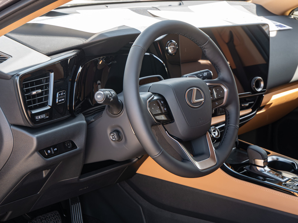 Fahrzeugansicht LEXUS NX 450h + Executive - Bild 36
