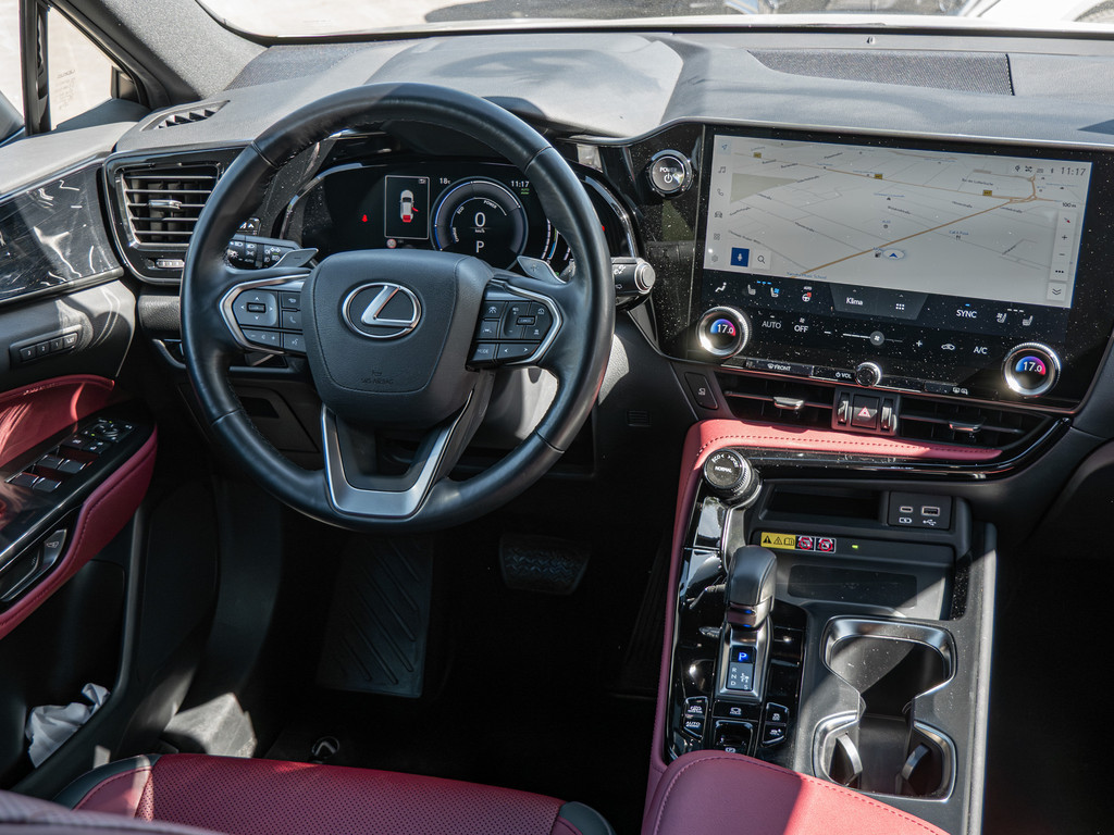 Fahrzeugansicht LEXUS NX 450h + Business - Bild 4