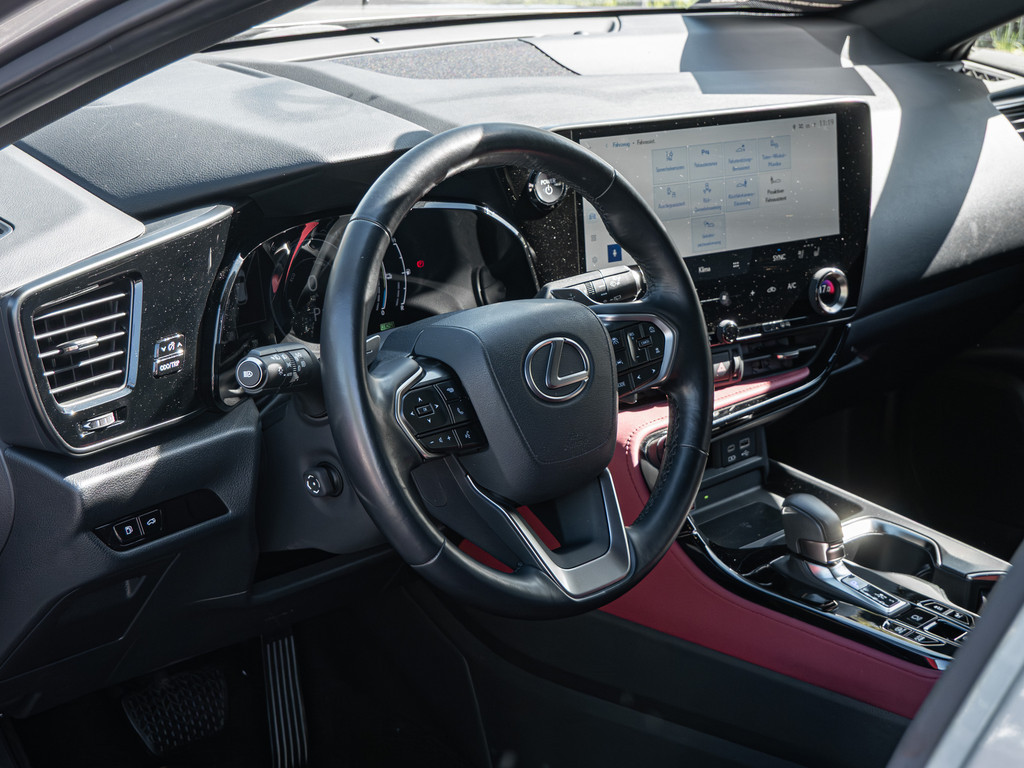 Fahrzeugansicht LEXUS NX 450h + Business - Bild 32