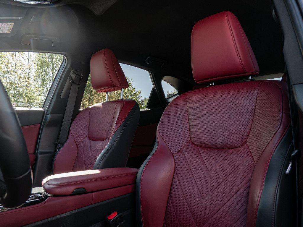 Fahrzeugansicht LEXUS NX 450h + Business - Bild 35