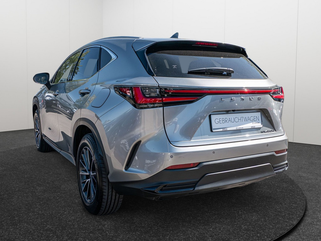 Fahrzeugansicht LEXUS NX 450h + Business - Bild 39