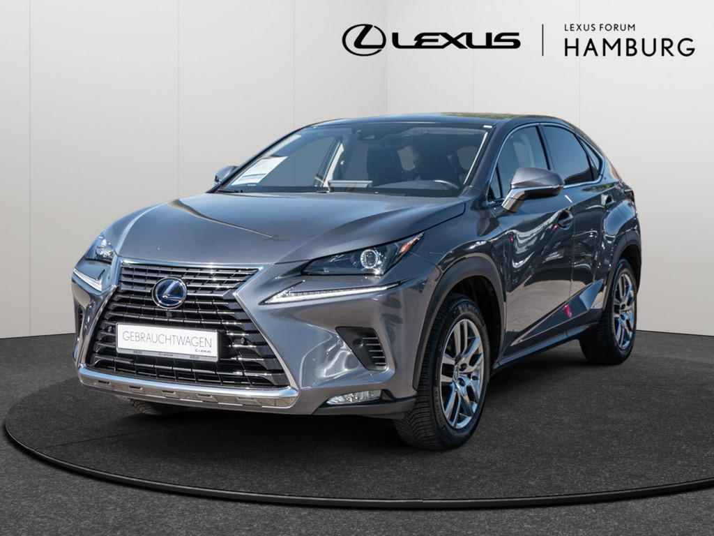 LEXUS NX 300h E-Four