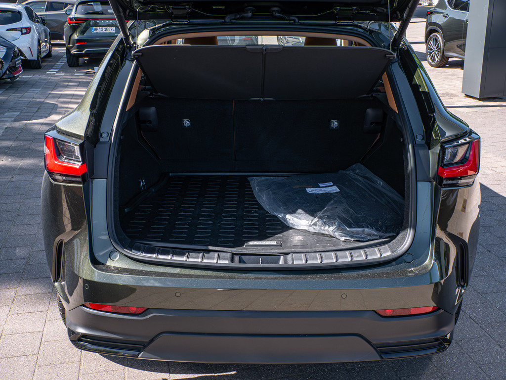 Fahrzeugansicht LEXUS NX 450h + Luxury - Bild 10