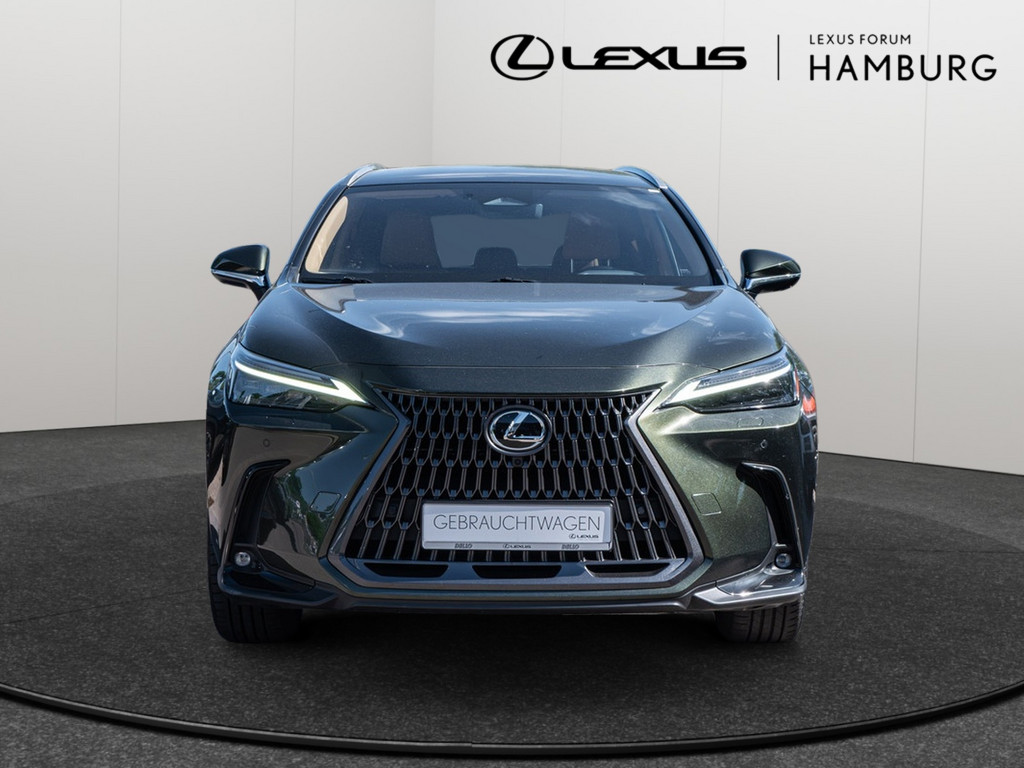 Fahrzeugansicht LEXUS NX 450h + Luxury - Bild 12