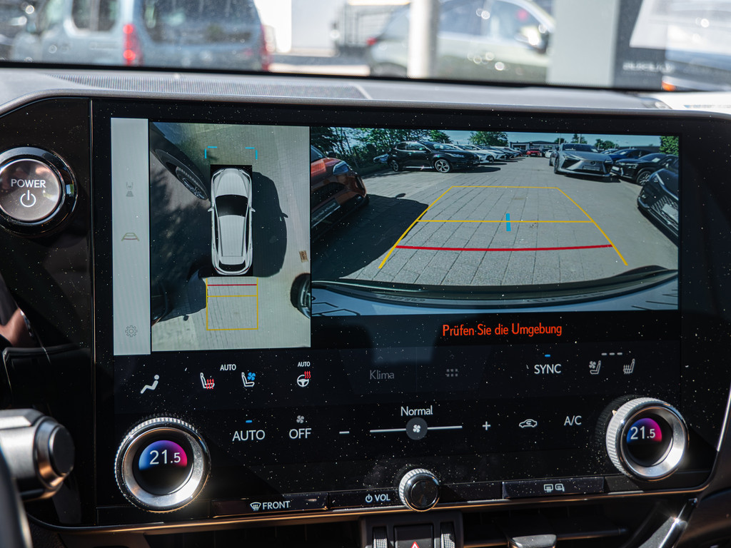 Fahrzeugansicht LEXUS NX 450h + Luxury - Bild 14
