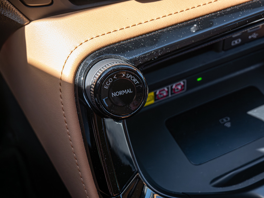 Fahrzeugansicht LEXUS NX 450h + Luxury - Bild 19