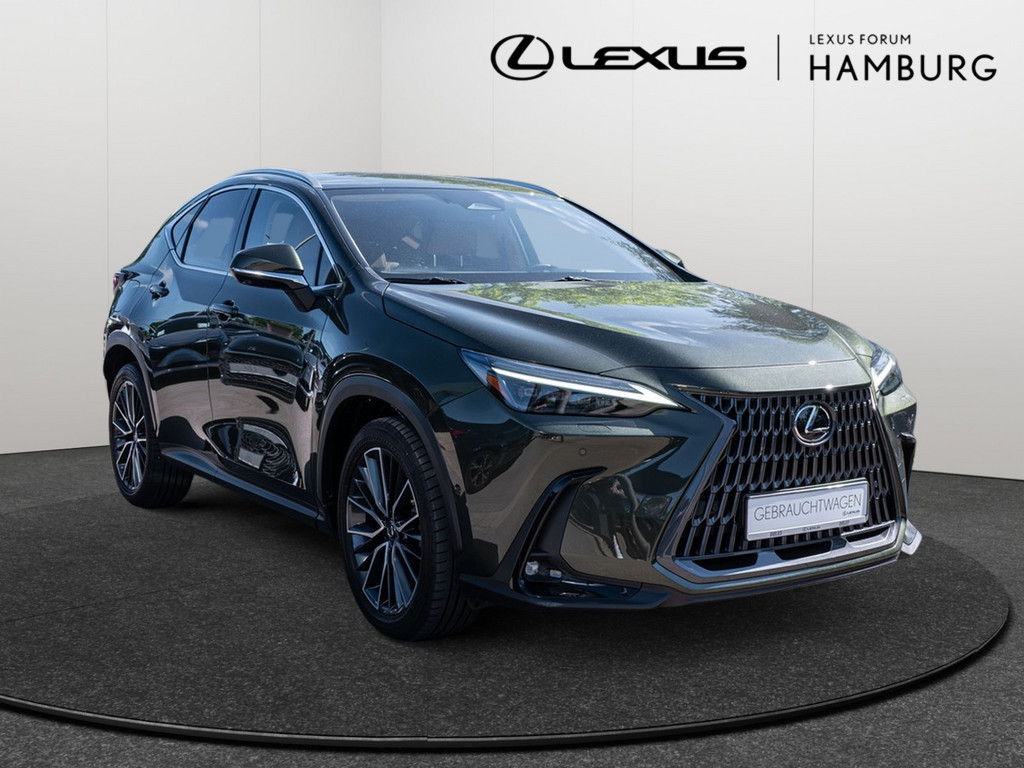 Fahrzeugansicht LEXUS NX 450h + Luxury - Bild 23