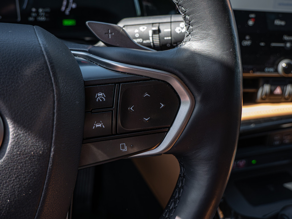 Fahrzeugansicht LEXUS NX 450h + Luxury - Bild 32